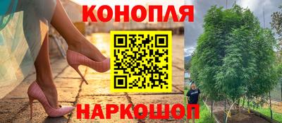мдпв Кимры