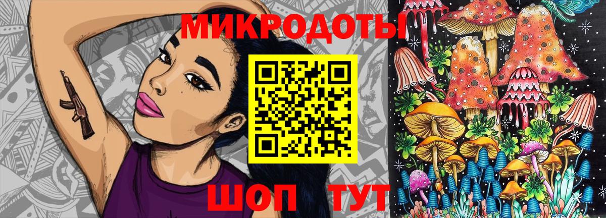 Галлюциногенные грибы Psilocybine cubensis Усть-Илимск