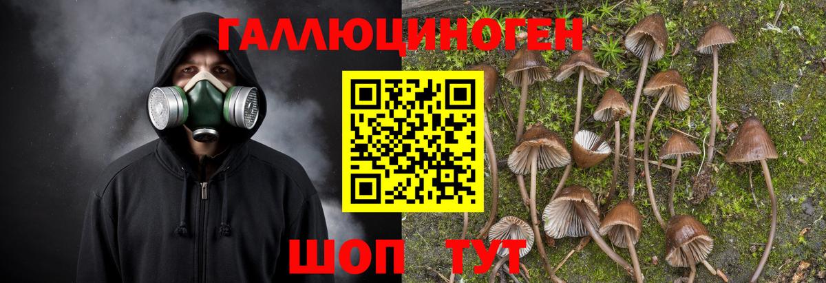 Галлюциногенные грибы Psilocybe  Галлюциногенные грибы Cubensis  Усть-Илимск  Вход с VPN 